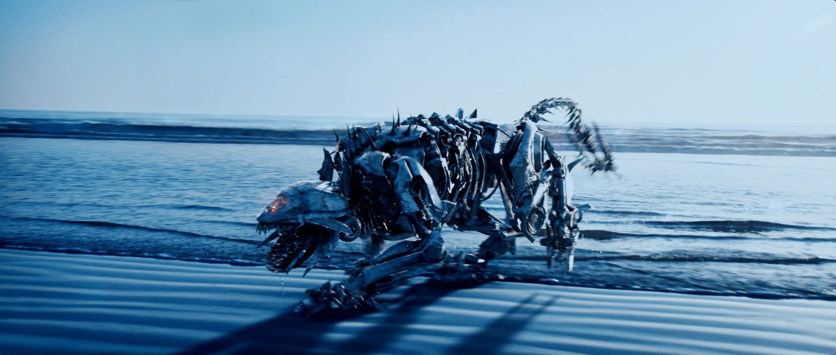 Transformers Dog Photo by genoskill Photobucket